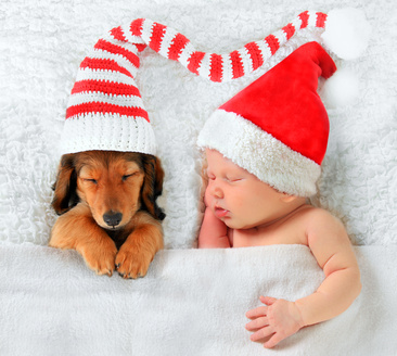 Christmas baby and Christmas puppy