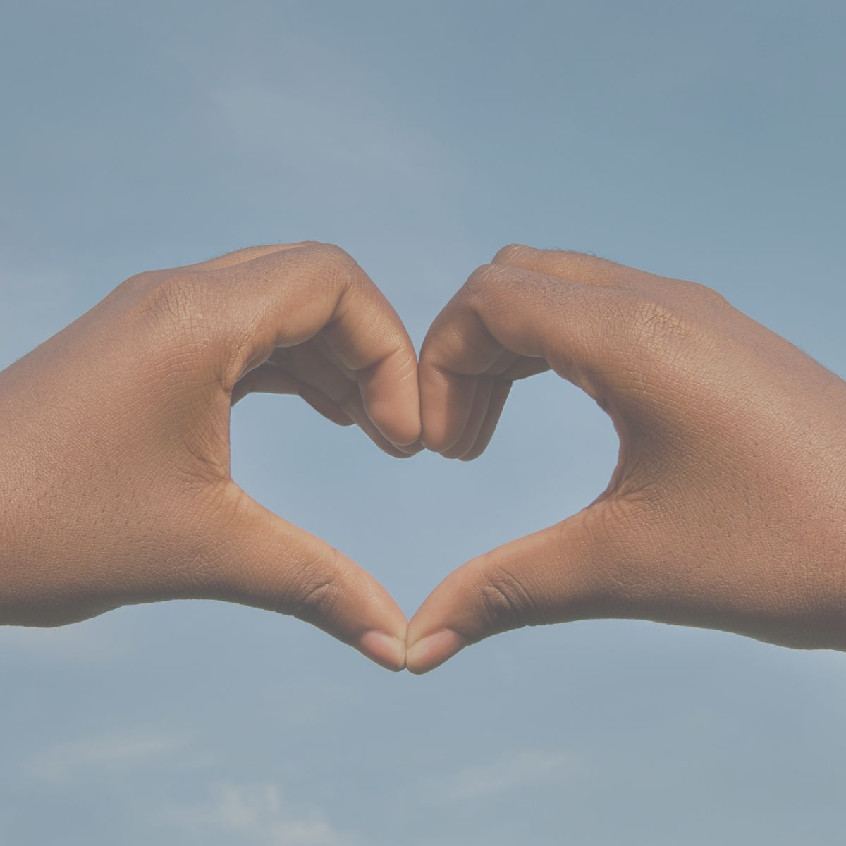 Heart hands Heart made with hands