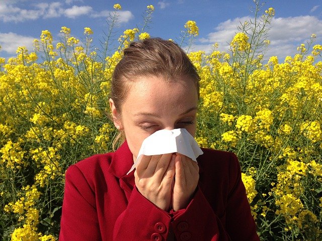 allergy allergy